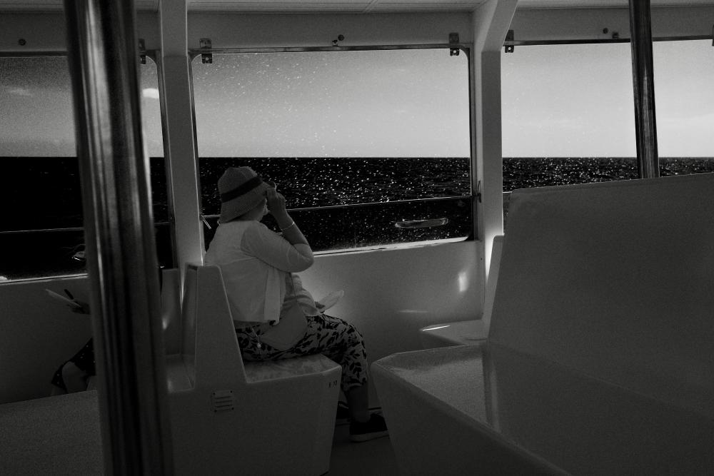 Boat Trip 2