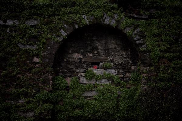 Garden 3