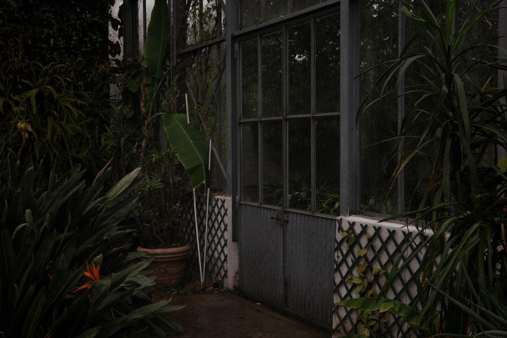 Garden 4