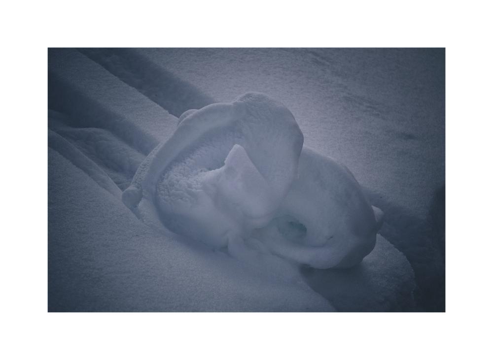 Snow