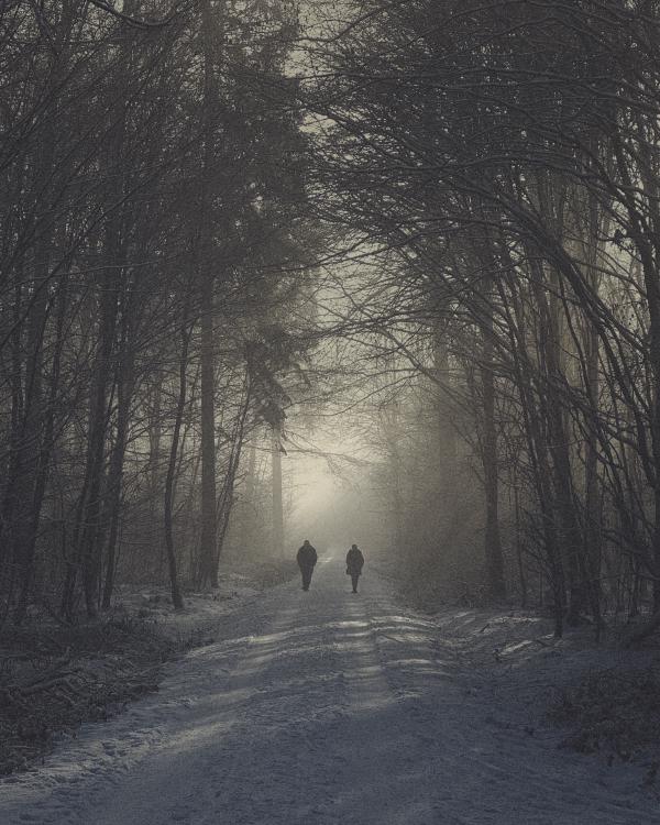 Winter Walk